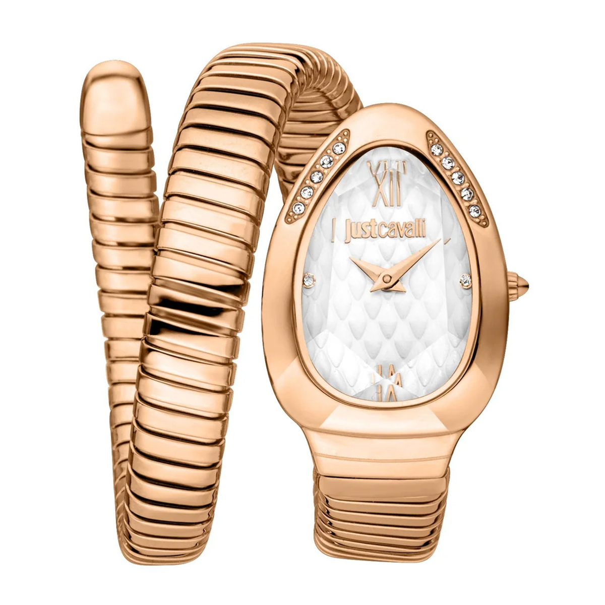 MONTRE JUST CAVALI FEMME  ACIER